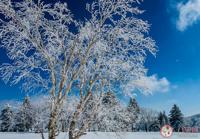 二十四节气大雪祝福语（2023大雪节气祝福短信，感恩有你）