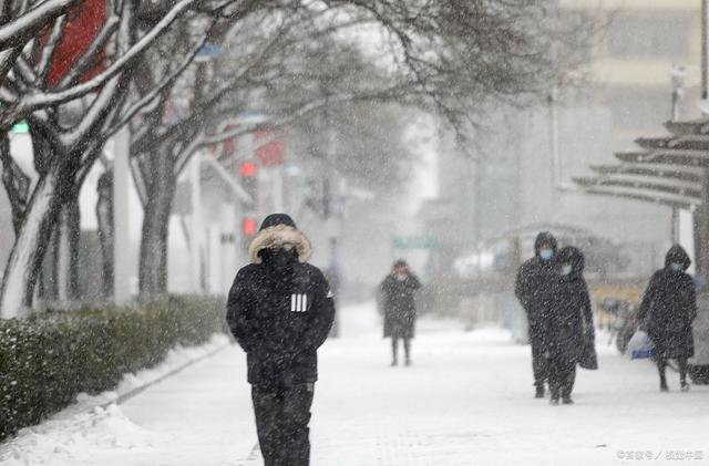 大雪节气微信朋友圈说说（寻觅花开的温度）