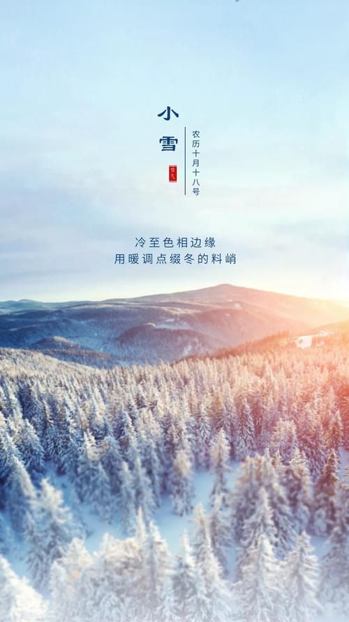 有关2023大雪节气心情说说的句子有哪些（大雪时节，心随飞舞的雪花）