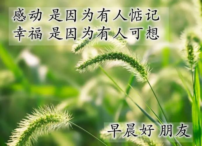 最能打动人心的早安短句（早安问候：唤醒美好一天）