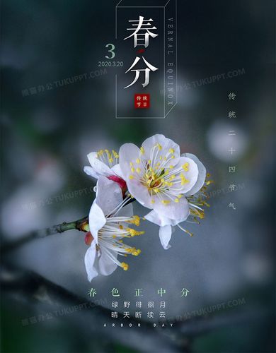 春分节气宣传（春分，花开满园；）