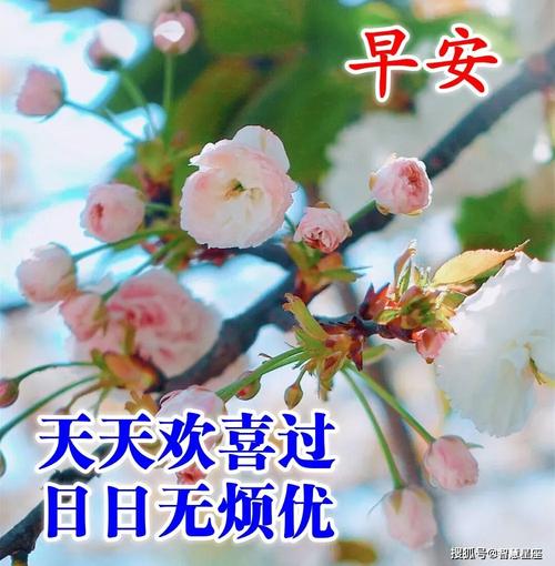 2021最新处暑祝福语说说（暑去秋来，祝愿如约而至）