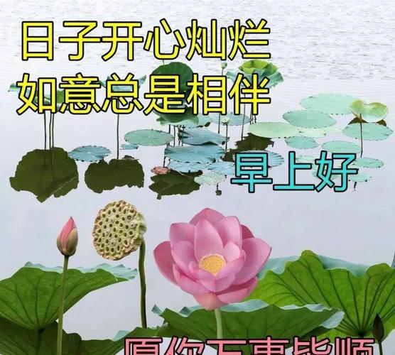 处暑时节祝福语（秋意渐浓，处暑问候）