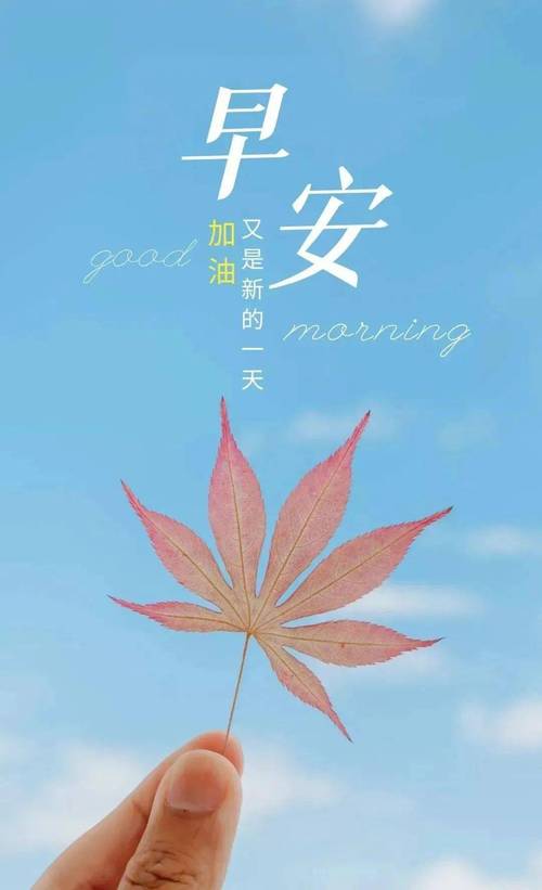 202年早安的祝福语（温暖你的清晨，温馨你的生活。）