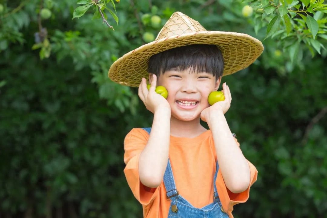 劳动诗词古句摘抄（10首优美劳动诗词）