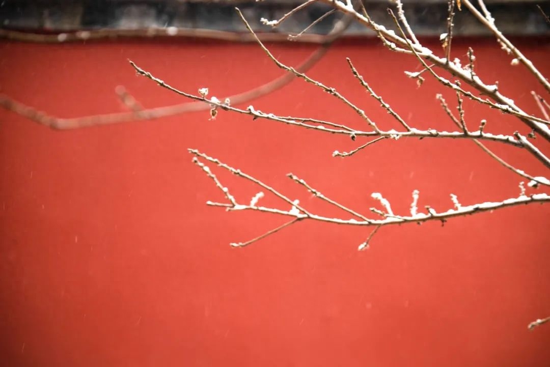 写雪经典古诗有哪些（写雪唯美的10首诗词）