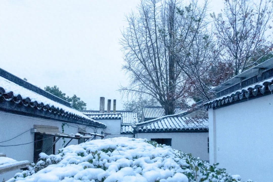 冬雪经典古诗有哪些（12句冬雪诗词）