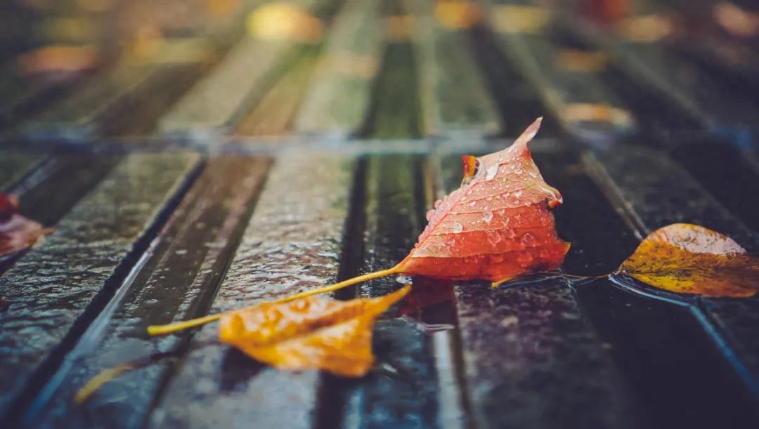 秋雨经典古诗有哪些（10首唯美秋雨诗词）