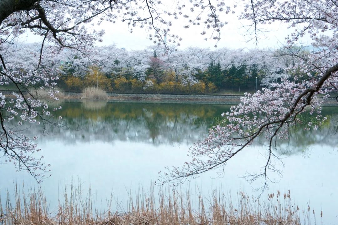 山水古诗词及意境解释（描写山水的8首五言绝句）