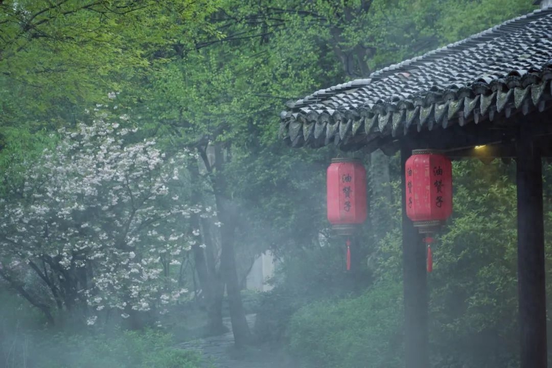 下雨古诗词大全（朋友圈的30句下雨诗词）