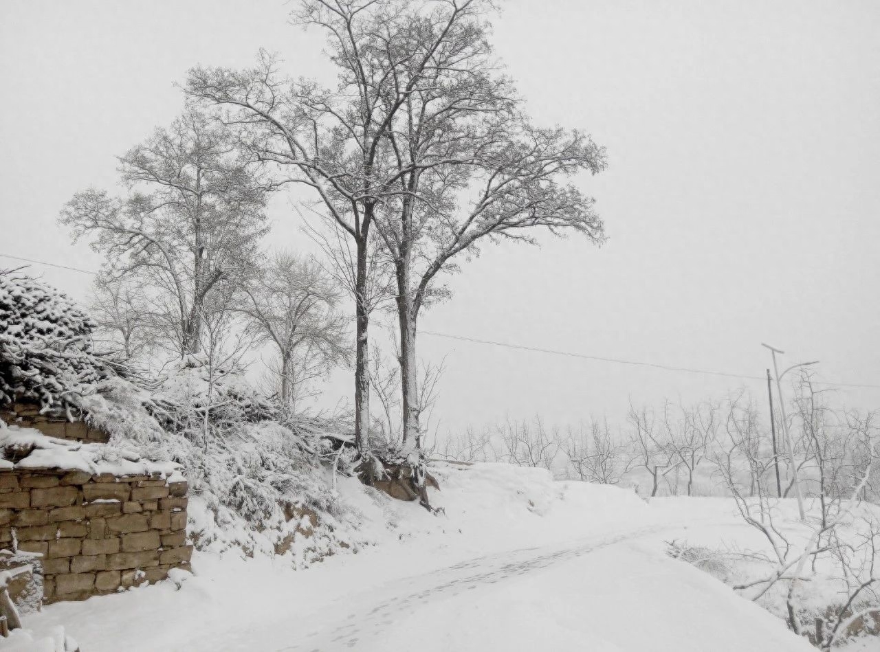 冬景似春华，莫负好时光（8首经典咏雪诗词）