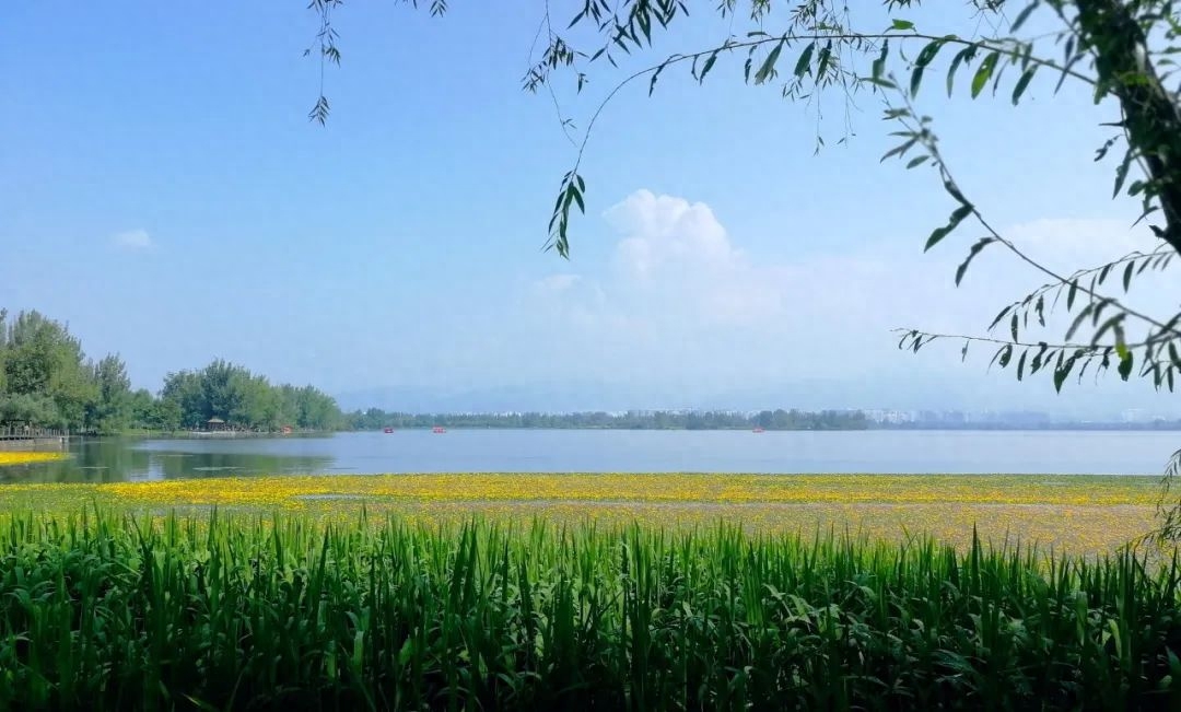 夏雨经典诗词大全（24首夏雨诗词）