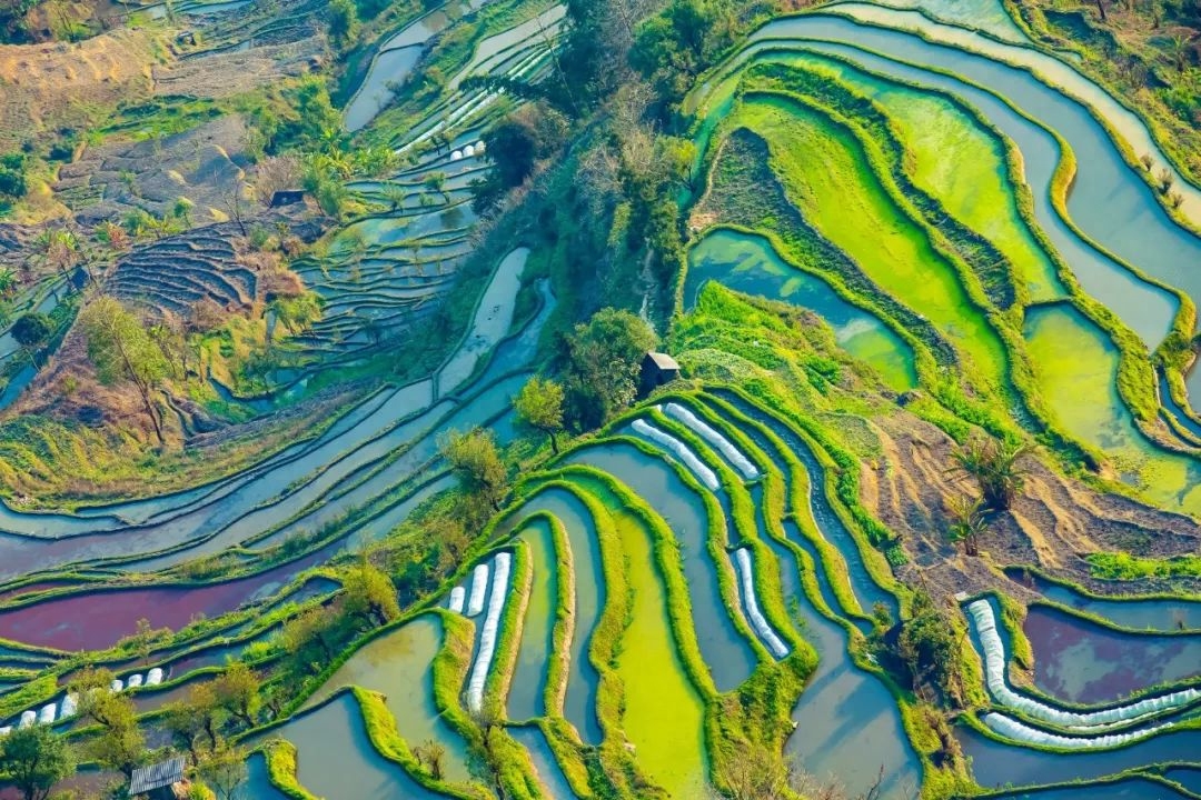 岁月诗词古句大全（岁月12首唯美诗词）