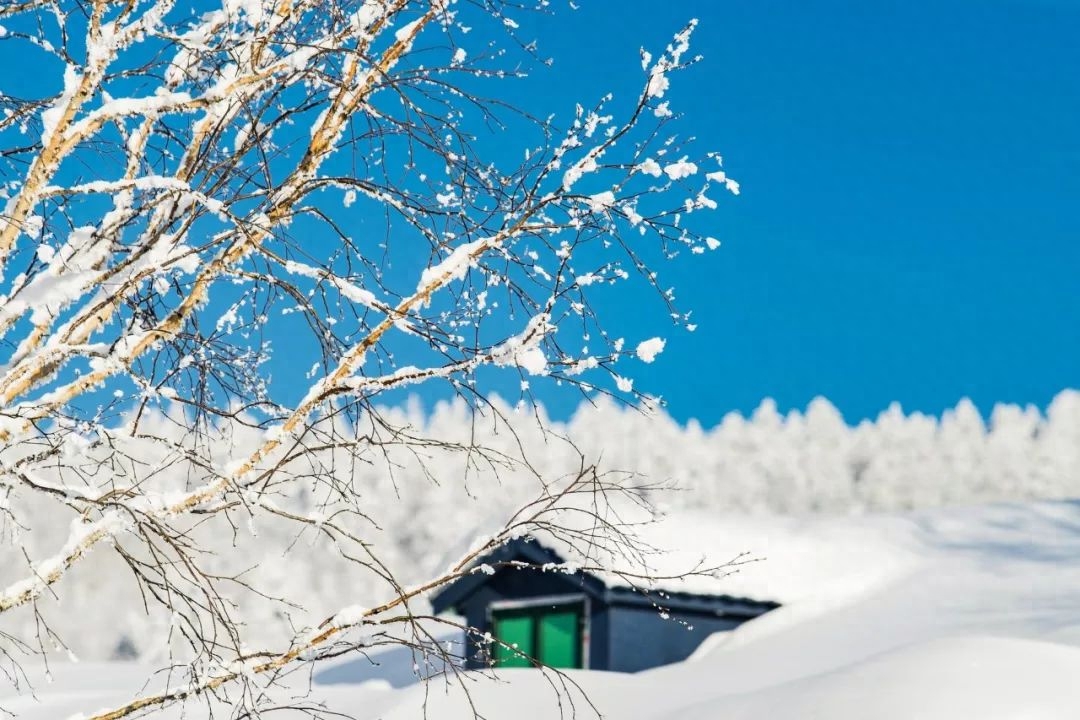 咏雪经典古诗大全（8首咏雪诗词）