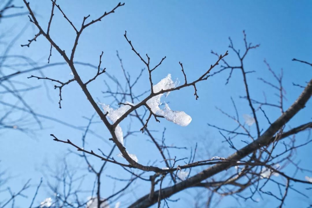 小雪经典古诗有哪些（30首小雪诗词）