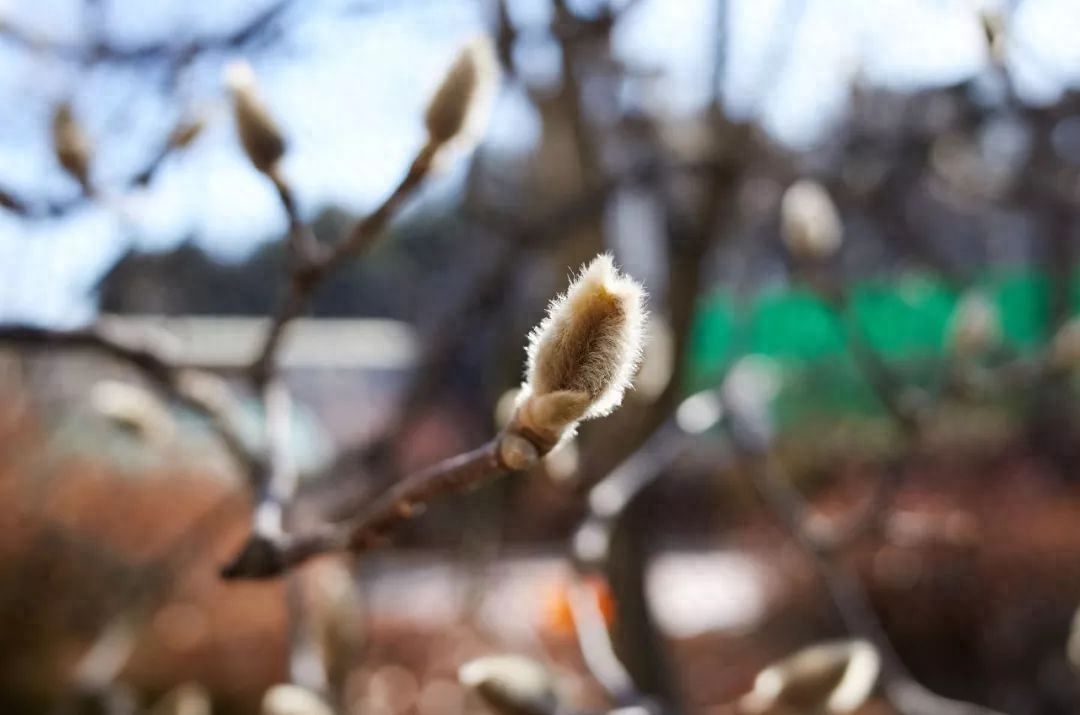 小雪经典古诗有哪些（30首小雪诗词）