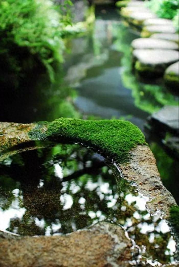 雨水唯美诗词大全（十首雨水诗词）