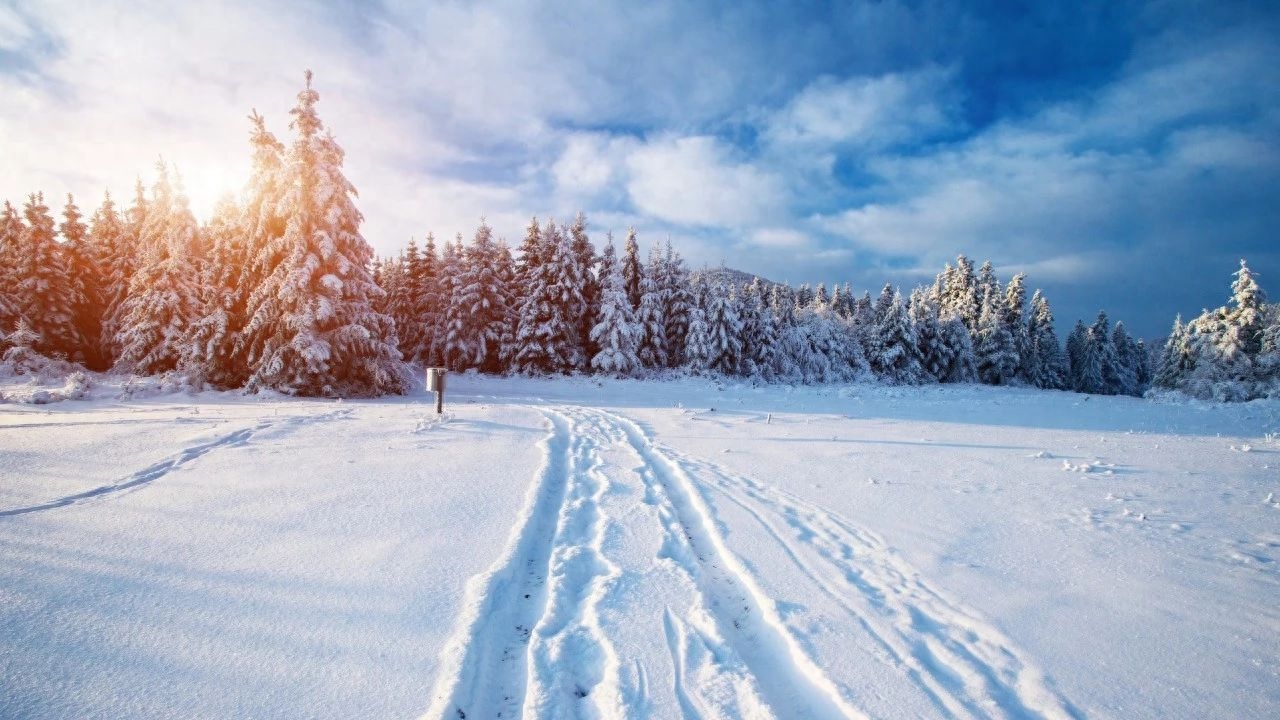 冬日古诗名句摘抄（八首冬日下雪古诗）