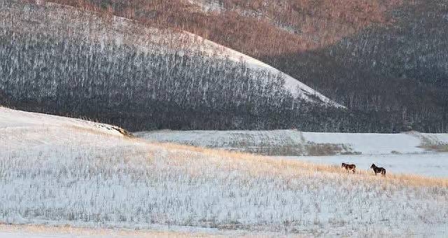 大雪经典诗词有哪些（雪景非常美的诗句）