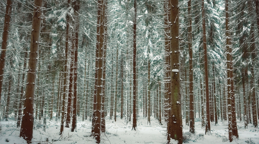 大雪唯美诗词大全（十首经典大雪诗词）