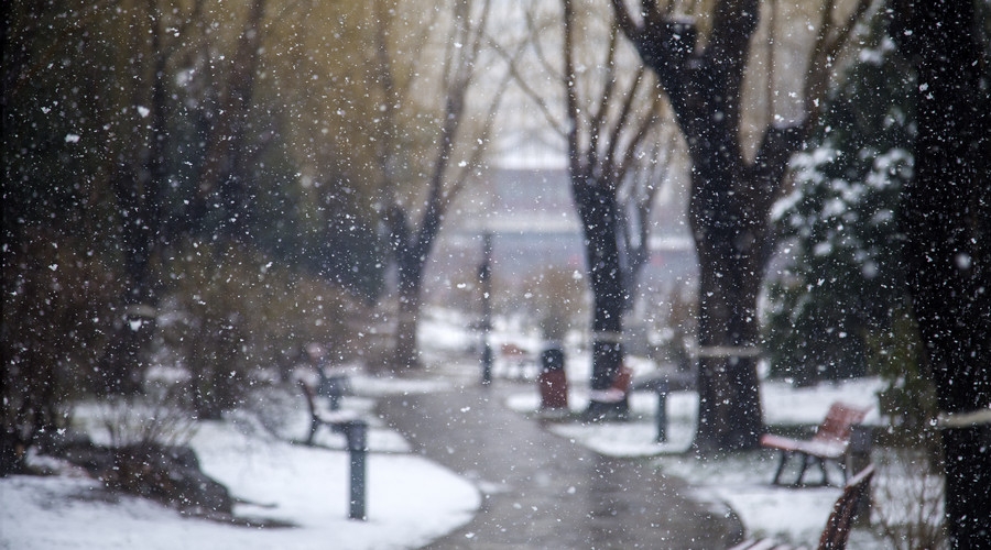 大雪唯美诗词大全（十首经典大雪诗词）