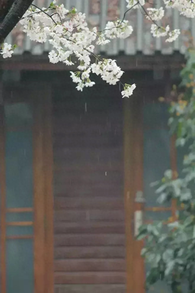 写雨唯美诗词有哪些（九首写雨的诗词）