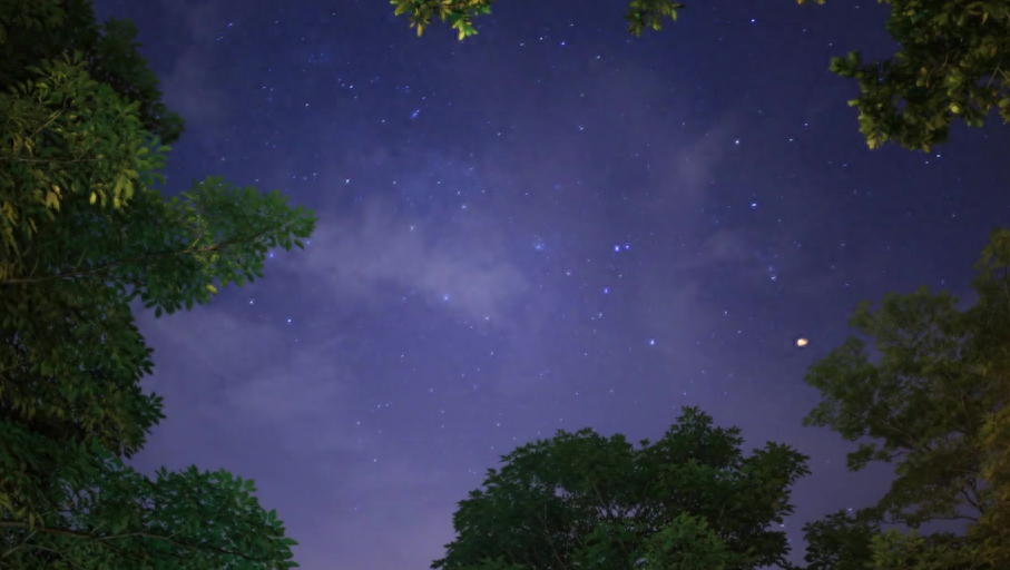 夏天唯美古诗词古韵（十首关于夏天夜晚唯美诗句）