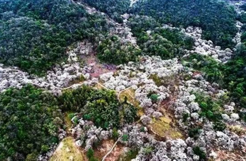 贵州风景秀，览胜踏莎行（踏莎行15首经典古诗）