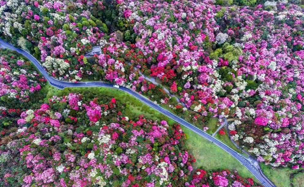 贵州风景秀，览胜踏莎行（踏莎行15首经典古诗）