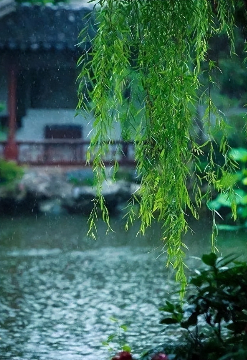 夏早日初长，南风草木香（关于早夏的经典诗句）