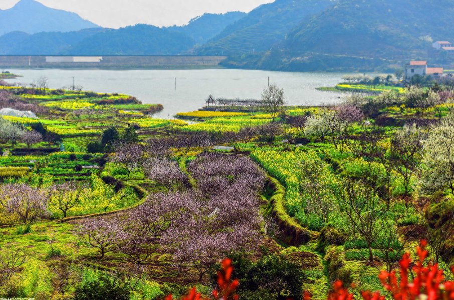 春游诗词名句大全（莫道春光非客我，家山美景润吾情）