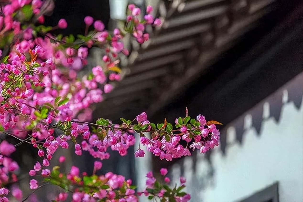 赞春暖花开的七绝（有关春睡的诗词）