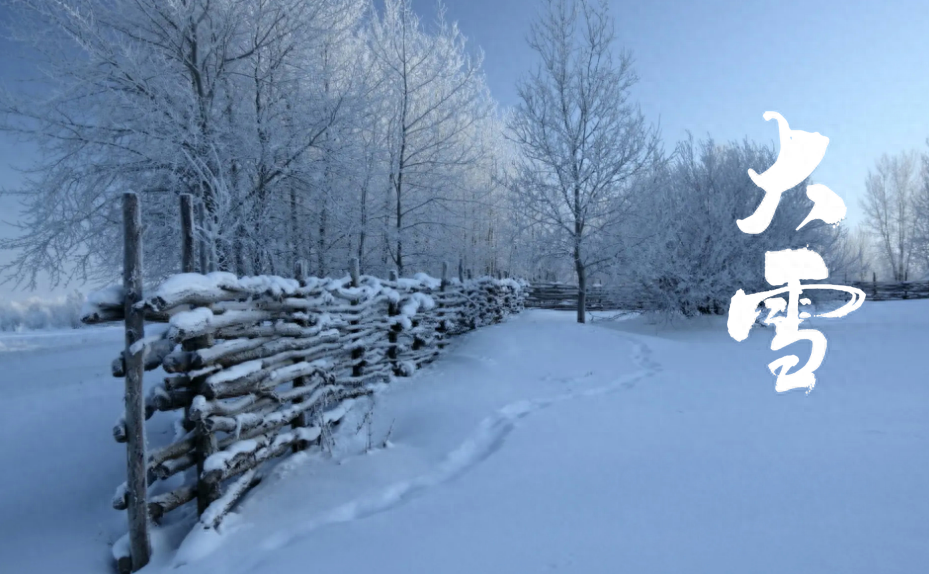 大雪诗词古句摘抄（十二首大雪的绝美诗词）