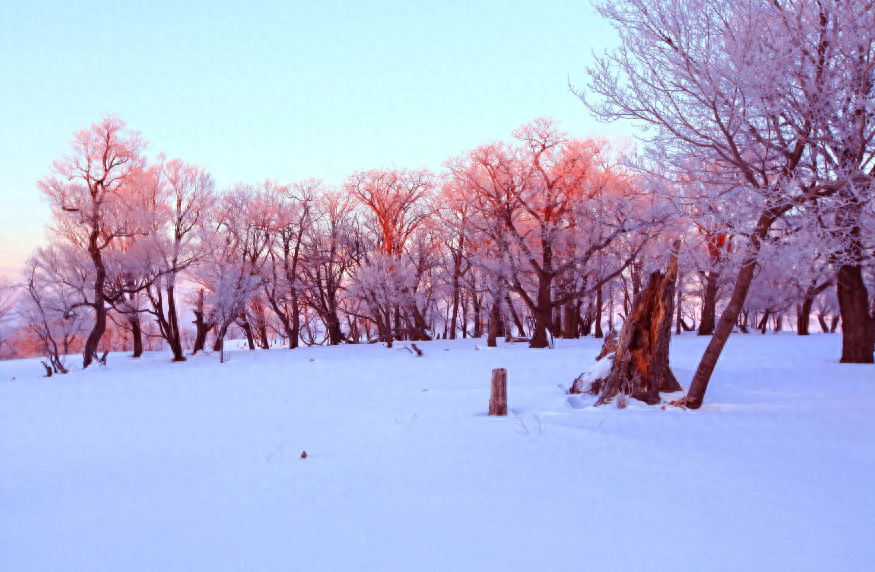 描写冬天下雪的诗句（十首写霜的古诗词）