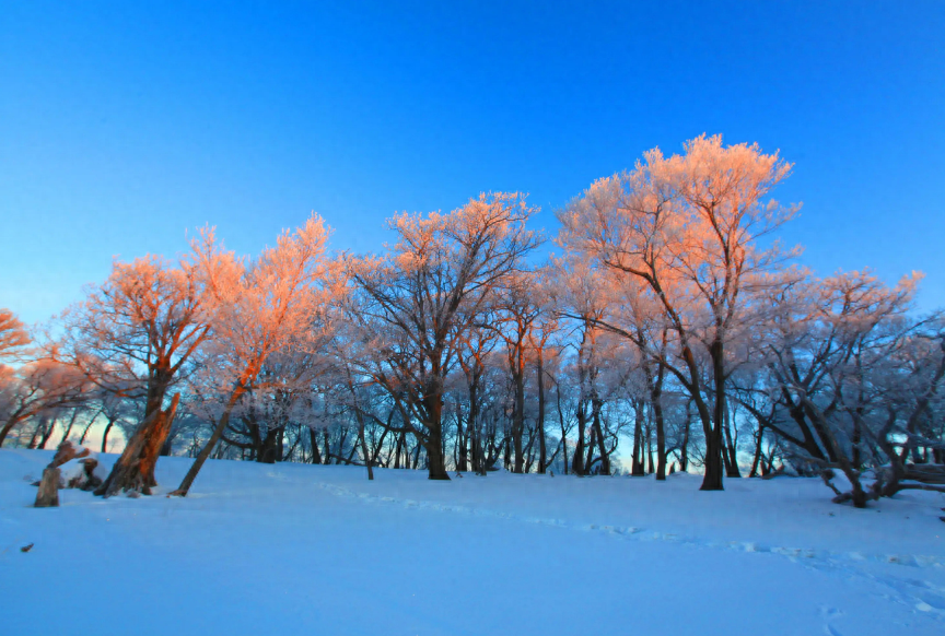 描写冬天下雪的诗句（十首写霜的古诗词）