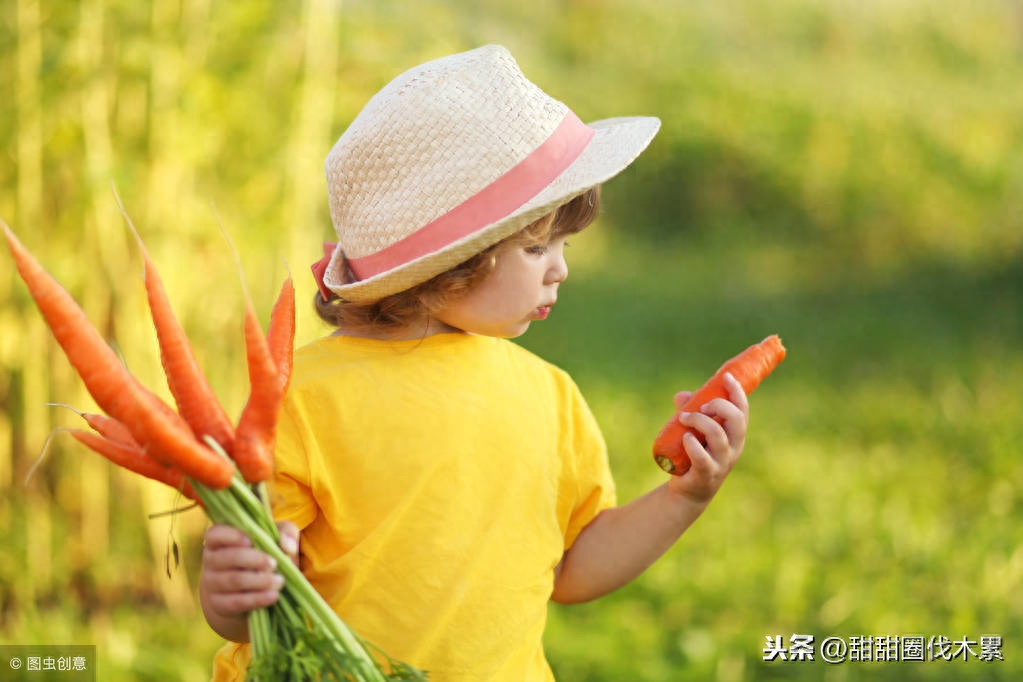 孩子挑食偏食惹父母烦恼（试试这七个办法）