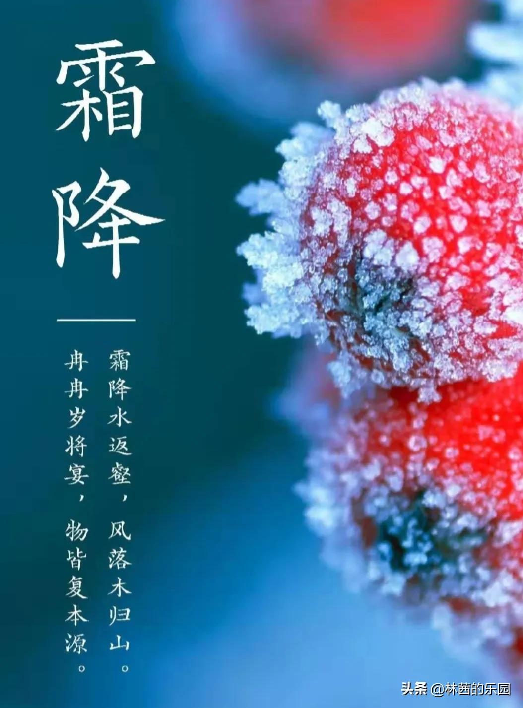 霜降经典古诗名句（8首经典的霜降诗词）