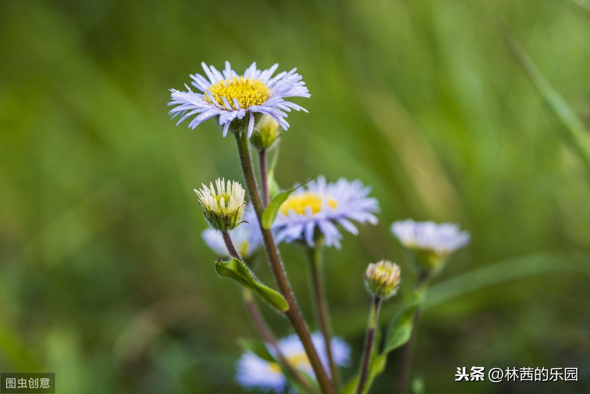 谷雨经典古诗四句（分享20首谷雨诗词）