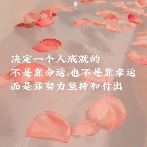 勤奋与坚持的满分作文（《坚持不懈，追寻梦想》）