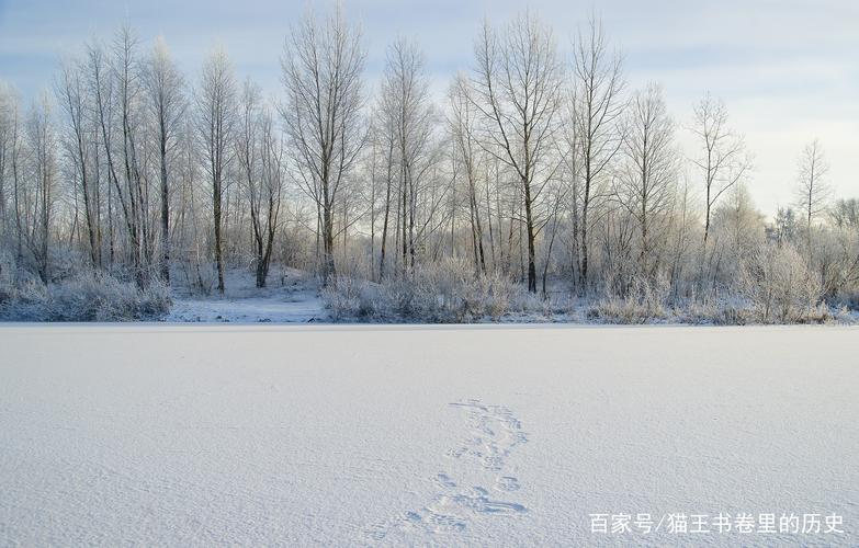 冬天的自然风景作文（《寒冬中的温暖》）