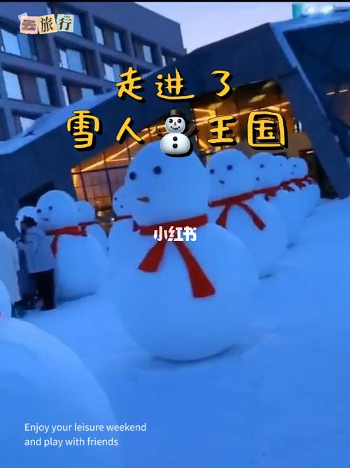 冰天雪地写作文（《童年的美好时光》）