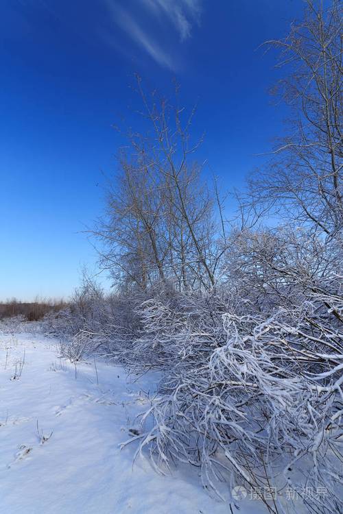 描写冬天玩雪的作文400字以上（《冬日踏雪寻桥》）