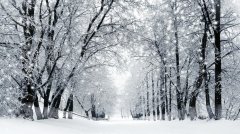 有关喜欢冬天的美景的作文600字（《冬日美景：我爱的季节》）