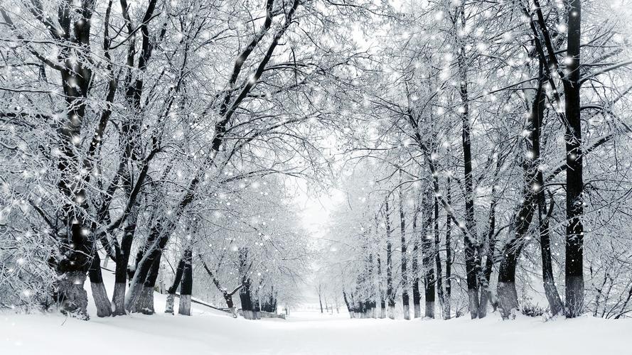 有关喜欢冬天的美景的作文600字（《冬日美景：我爱的季节》）