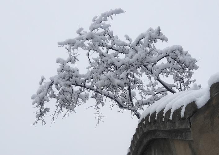 以雪花飘扬的冬天为话题的作文600字（《飞雪纷扬》）