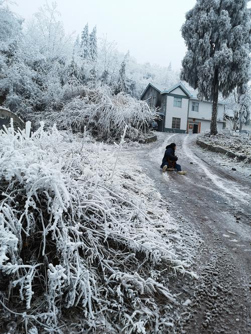 作文家乡的雪真美400字以上（《那片美丽的雪景》）