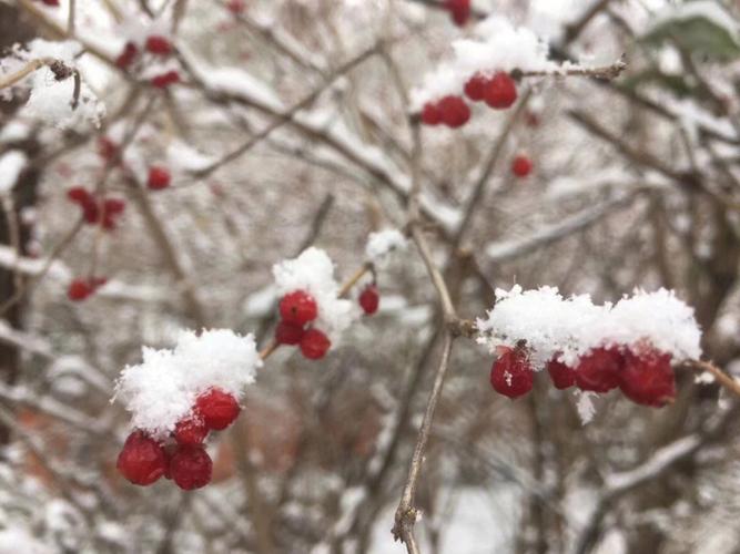 关于冬天的第一场雪的作文400字（《孩子们的欢乐》）