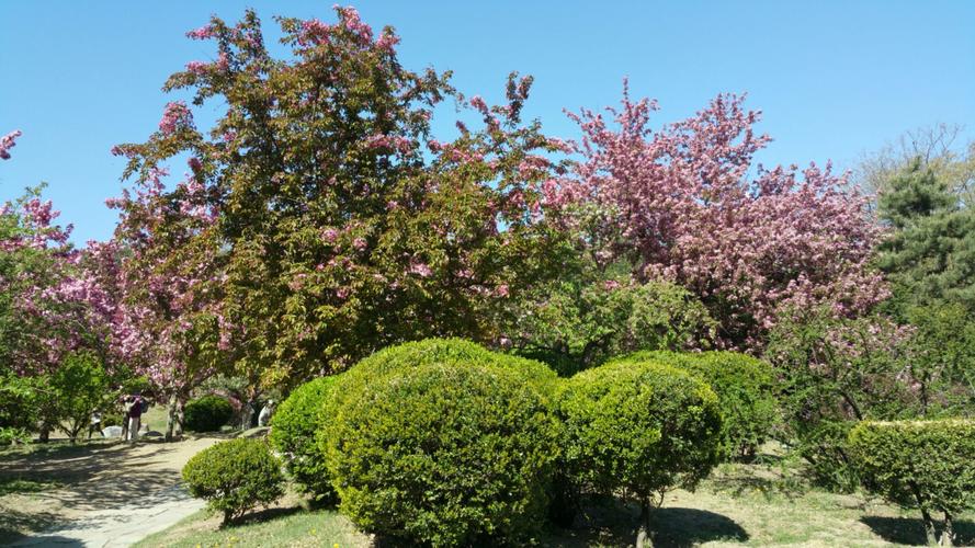 以欢乐春游植物园为话题的作文怎么写（《春日欢乐，植物园之旅》）