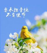 关于春天的探究主题（《春天的新探索——探寻自我》）