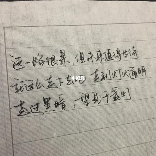 有关对于梦想的执着的作文800字（《梦想的坚守》）